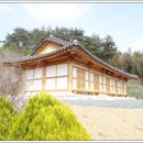 강진8호 이미지