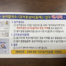 원조송이와능이향