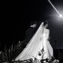 맘마데이 이미지