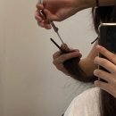 로즈헤어 - 연수구 | 로즈헤어 창원상남점 : 로즈헤어 커트 후기, 창원 상남동 미용실, 창원 복구매직