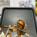 형제참송이농원