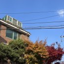 김밥천국 매봉점 | [서울/매봉역] 티라미수가 맛있고 사장님이 친절한 조용한 카페 '콰이어트앤콰이트'