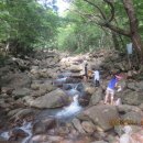 광평농장 이미지