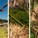 등골농장 이미지