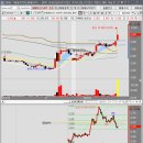 코스모메드 이미지