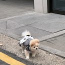 요커청담점