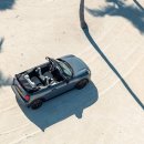 유니언버드 이미지