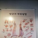 365차차한의원 이미지