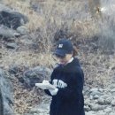 향림초등학교 이미지