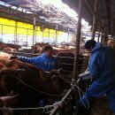 박종수농장 이미지