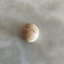 단대로16번길 | HAPPEE💗