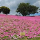 행진목장 이미지