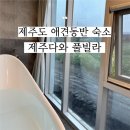 제주다와 이미지