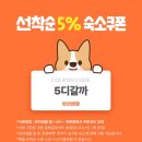 엘본쓰 이미지