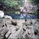 돌담이네 이미지