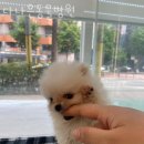 다나은동물병원 이미지