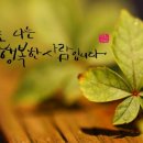 상번천 이미지