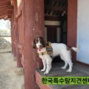 한국특수탐지견센터 이미지