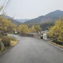 계척시목지 이미지