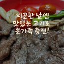 정직한청년축산 이미지