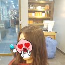코미헤어 네이버블로그