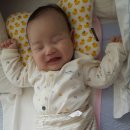 조형물D 이미지