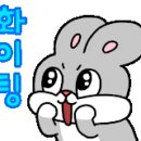 로이파트너스