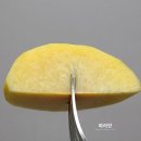 금봉 농장 이미지