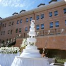 메이필드호텔 이미지