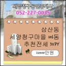 세양공인중개사사무소 이미지
