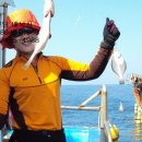 낙산화이트홈펜션 이미지