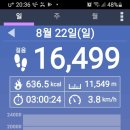 백화사 이미지