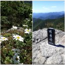 기룡산 등산로3 이미지