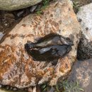 섬진강낚시 이미지