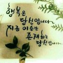 잡초처럼 대충 사세요 이미지