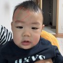육아일기 | D+227 ~ 233❤︎ (아기랑겨울여행, 7개월아기침대낙상, 첫 크리스마스파티)