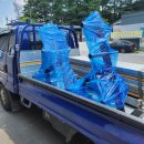 통키크로스핏 이미지