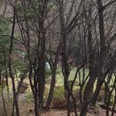 수봉양궁장 이미지