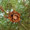 당감초등학교 병설유치원 이미지