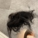 팔레트에이치 나연 이미지