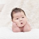 본아트 이미지