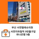 엘레슈의원