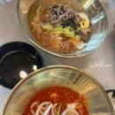온냉비콩 이미지