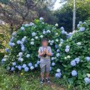 칠천도육각정펜션 이미지