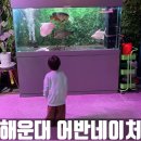 호텔네이처 부산신항점 | 벡스코근처 대관가능한 도마뱀 이색카페 어반네이처