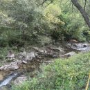(주)은하수관광 네이버블로그