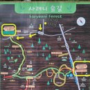 남조로 | 사려니숲길 위치 주차장 비자림로 남조로 붉은오름