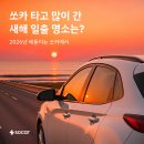 쏘카 조선비즈