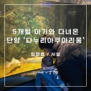내돈내산/솔직후기 5개월 아기와 함께 다녀온 단양 &#39;다누리아쿠아리움&#39; 후기