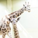 에버마루 이미지